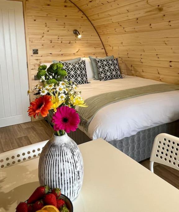 Vila Plumgrove Pod Easkey Sligo Exteriér fotografie